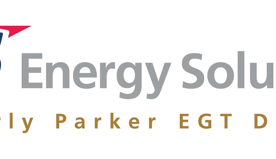 LS Energy Solutions_signature(gold type)